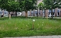 BlühflächeAmtsbrink©StadtWarenMüritz