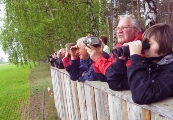 Vogelbeobachtungen von der Besucherplattform in Amalienhof