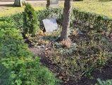 Grabanblage auf dem Warener Friedhof
