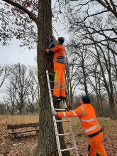 AnbauvonNistkästen©StadtWarenM