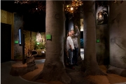 Wald©Müritzeum-MirkoRunge Wald©Müritzeum-MirkoRunge