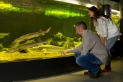 Aquarienlandschaft©mueritzeum Aquarienlandschaft©mueritzeum