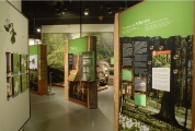 Naturausstellung©mueritzeum Naturausstellung©mueritzeum